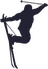 SkiIcon